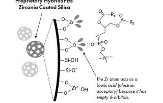 HybridSPE sorbent for dispersive pipette XTRaction
