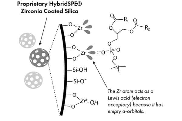 HybridSPE sorbent for XTR tips HybridSPE sorbent for dispersive pipette XTRaction