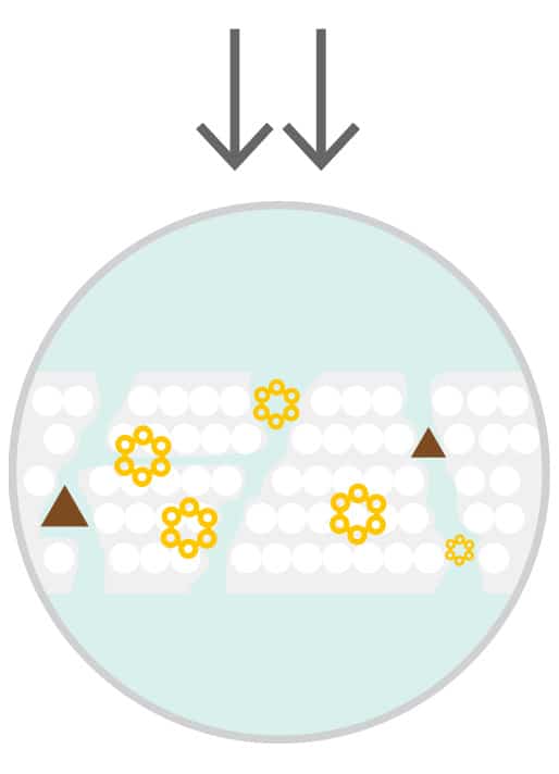 speplate
