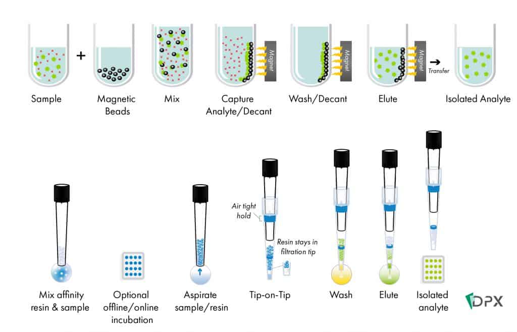 automated immunoaffinity purification using Tip-on-Tip SPE